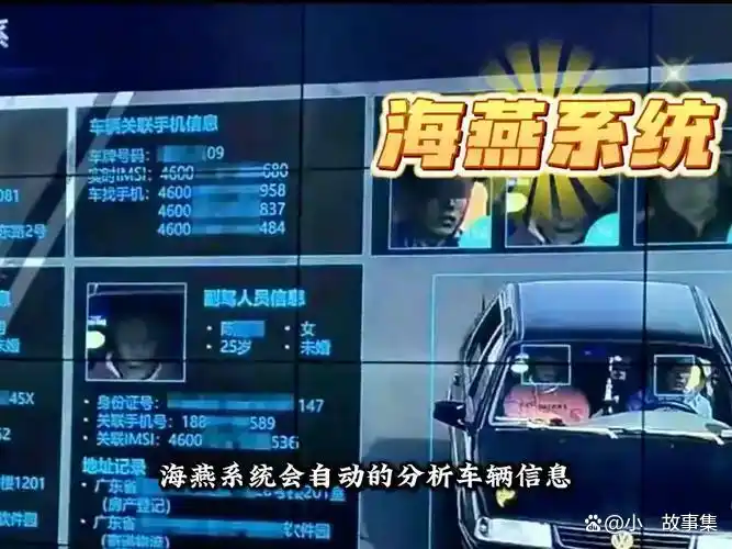 春节返程吃6张罚单！这些易违章行为你中招了吗？