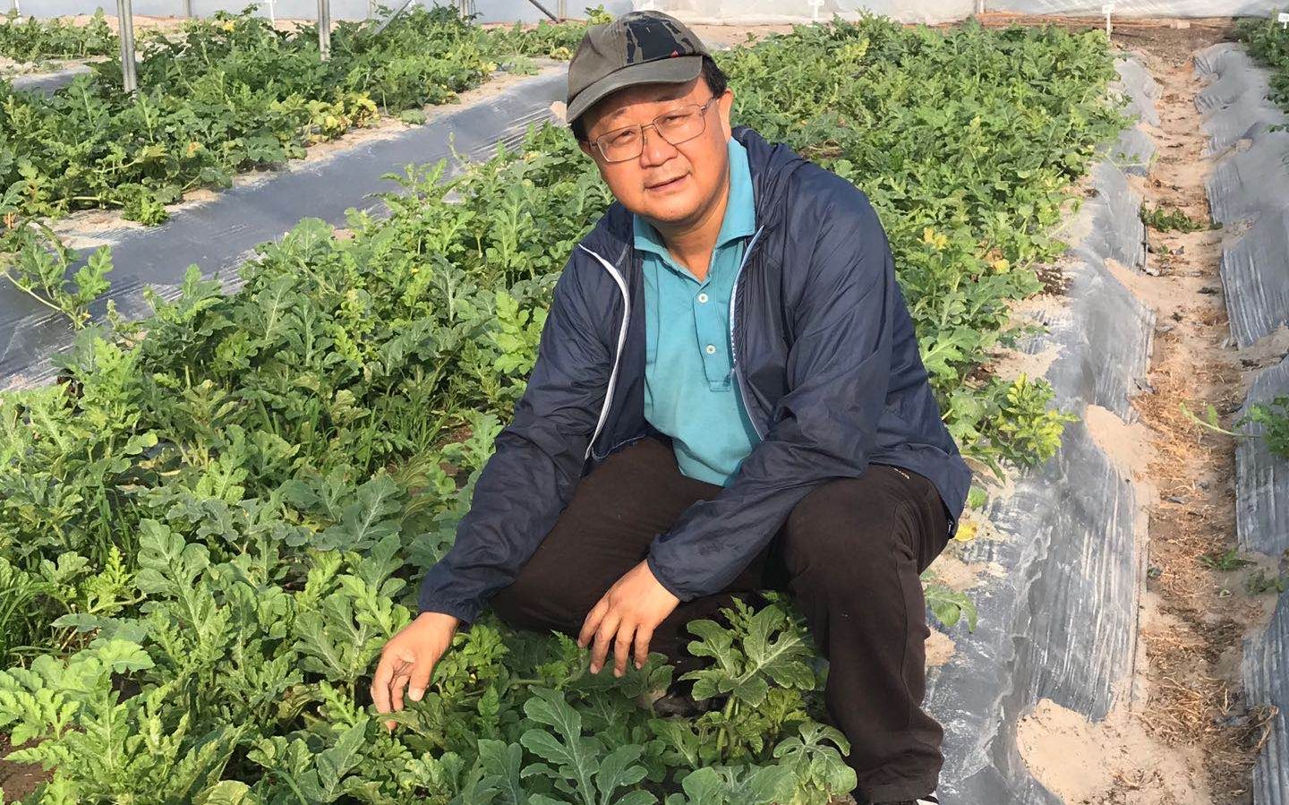 疫情期间海南南繁基地用工物资短缺 专家力保春耕