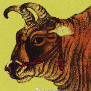 详细阅读:美国疫情数据为何让人看不懂?官方数据滞后成谜 美国疫情数据为何让人看不懂?官方数据滞后成谜